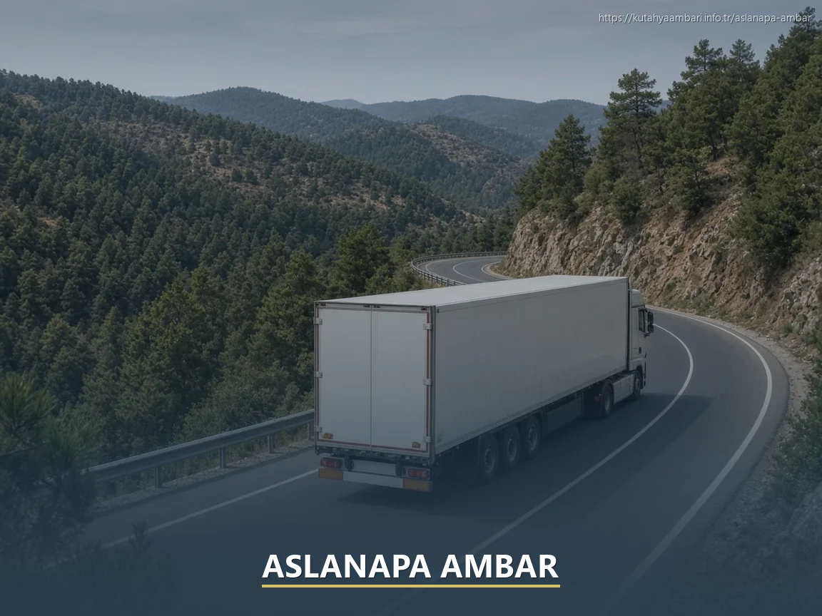 Aslanapa Ambar